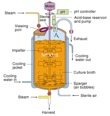 Fermentation Tank | NEXUSME
